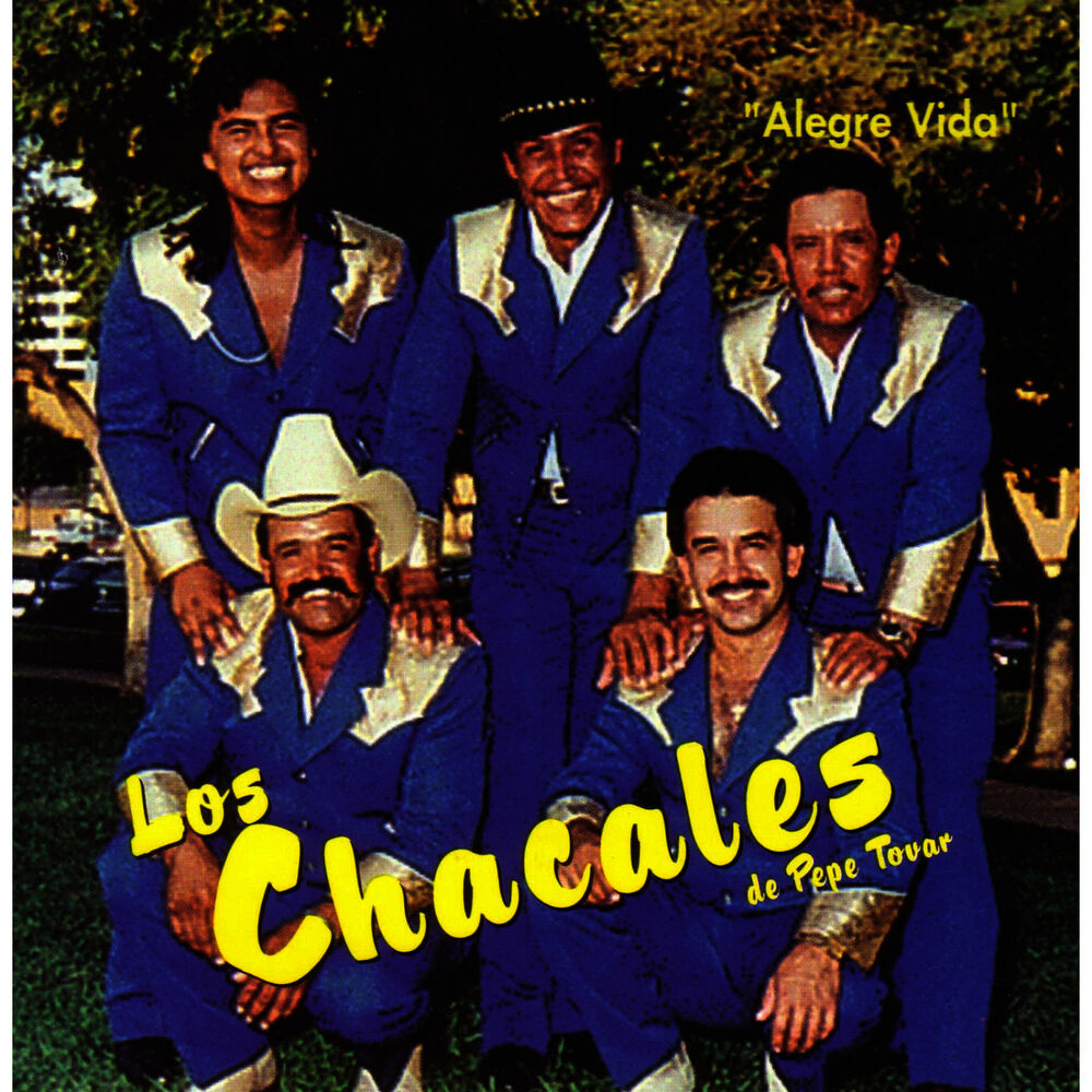 Picture of Alegre Vida