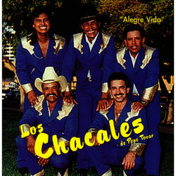 Cover of Alegre Vida
