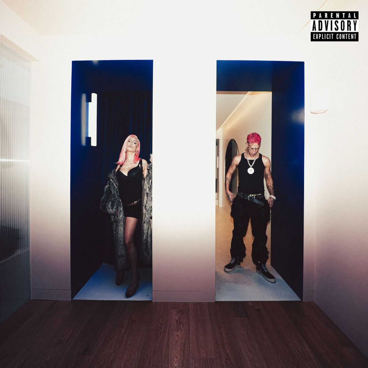 Album cover of BAILANDO EL DEMBOW