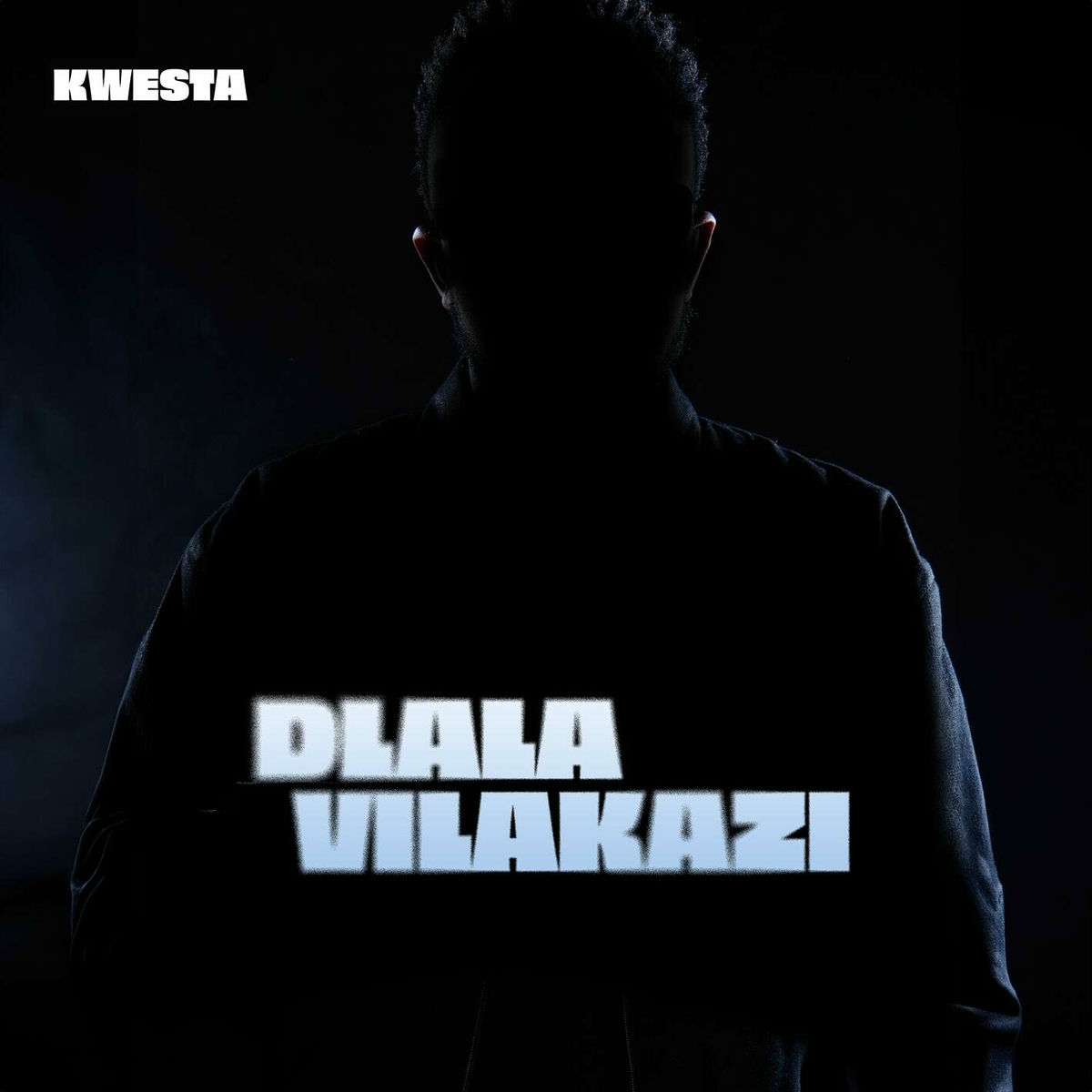 Album cover of Dlala Vilakazi