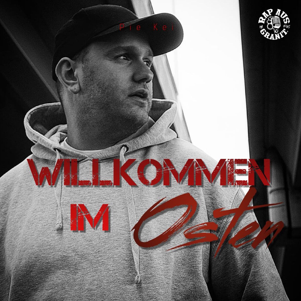 Album cover of Willkommen im Osten (Remix)