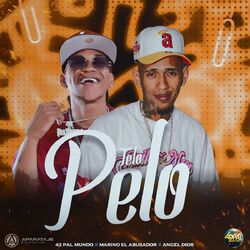 Te Lo Pelo