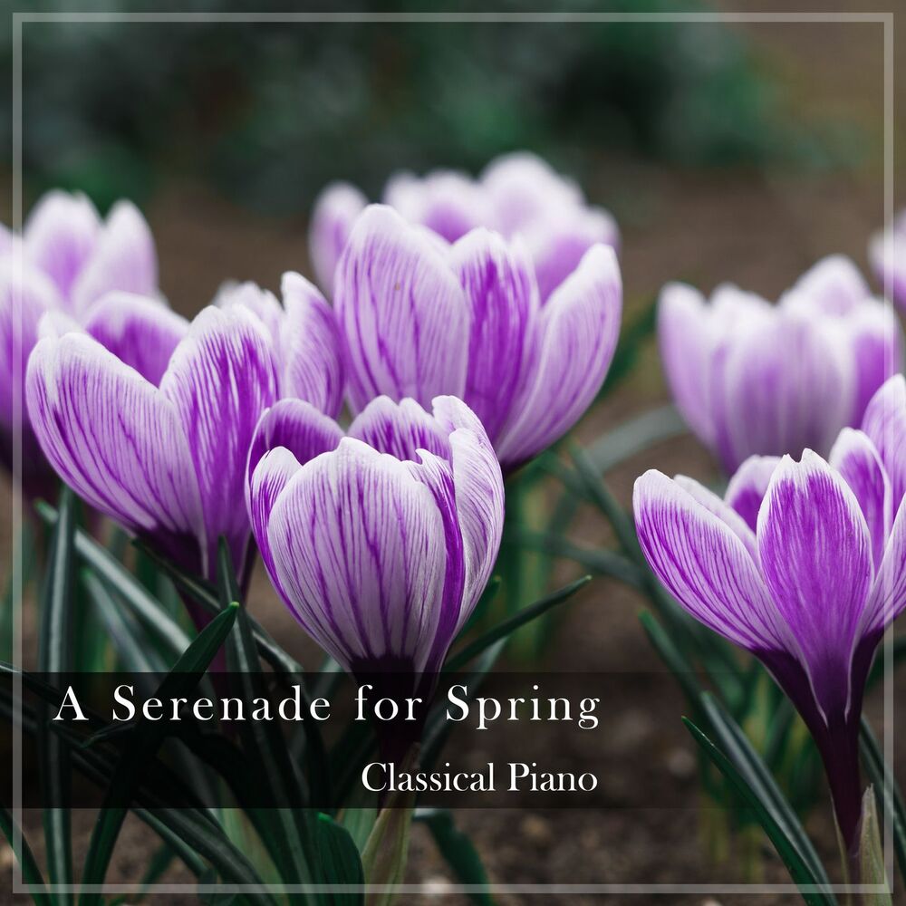 Picture of "A Serenade for Spring" - Classical Piano