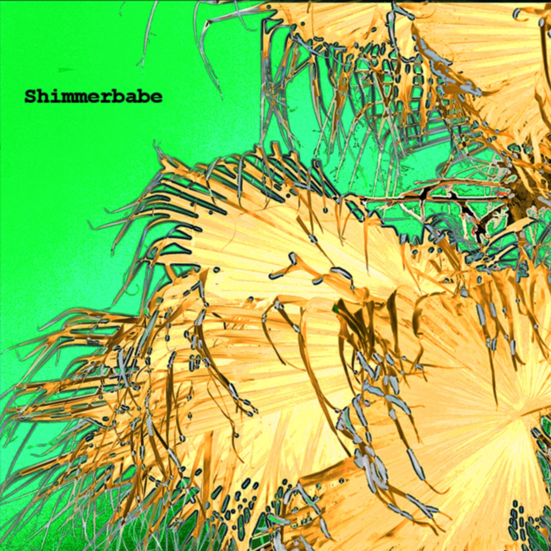 Album cover of Shimmerbabe