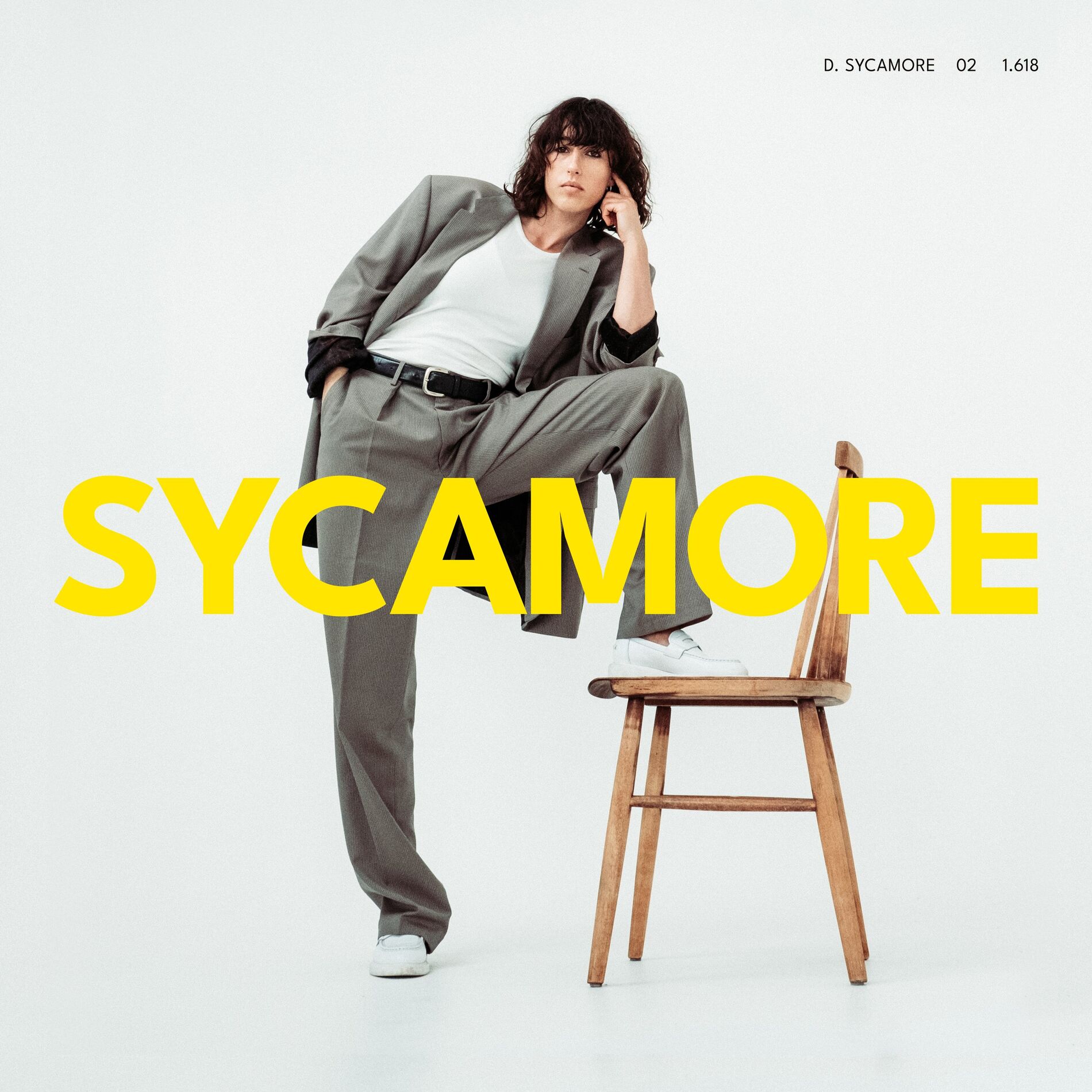Album cover of Sycamore
