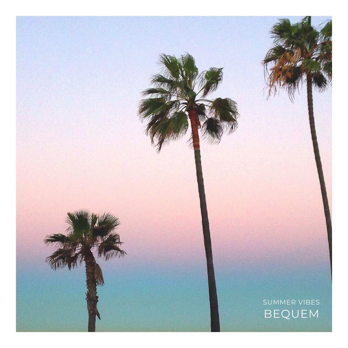 Album cover of Summer Vibes