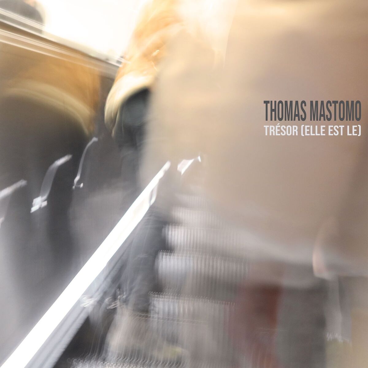 Album cover of Trésor (Elle est le)