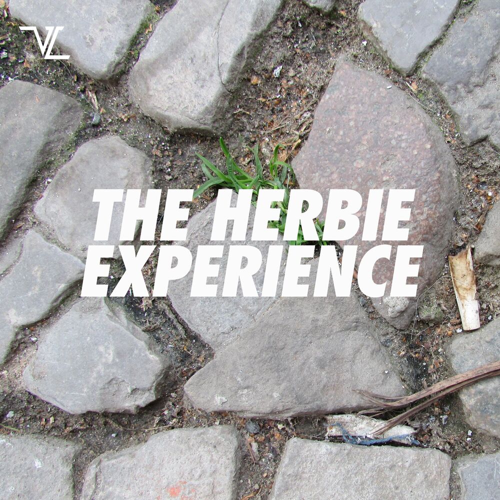Picture of The Herbie Experience