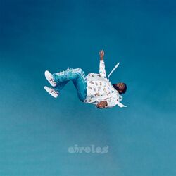 Cover of circles
