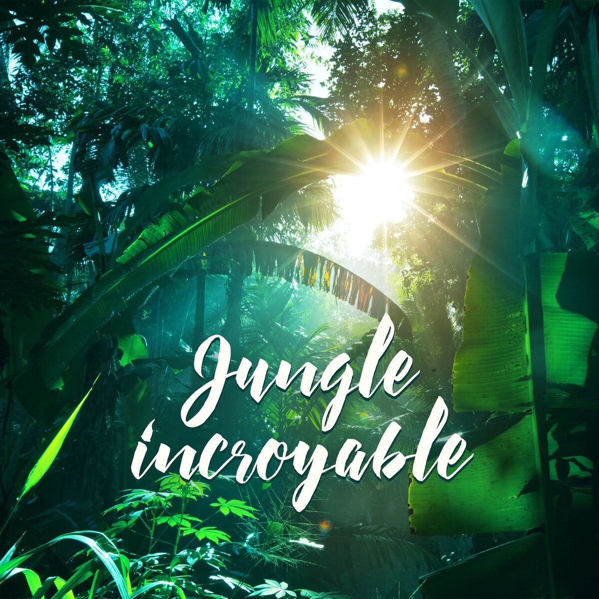 Album cover of Jungle incroyable: Sons de la nature, Paysages sonores de la forêt, Chant des oiseaux, Ruisseaux d'eau pure