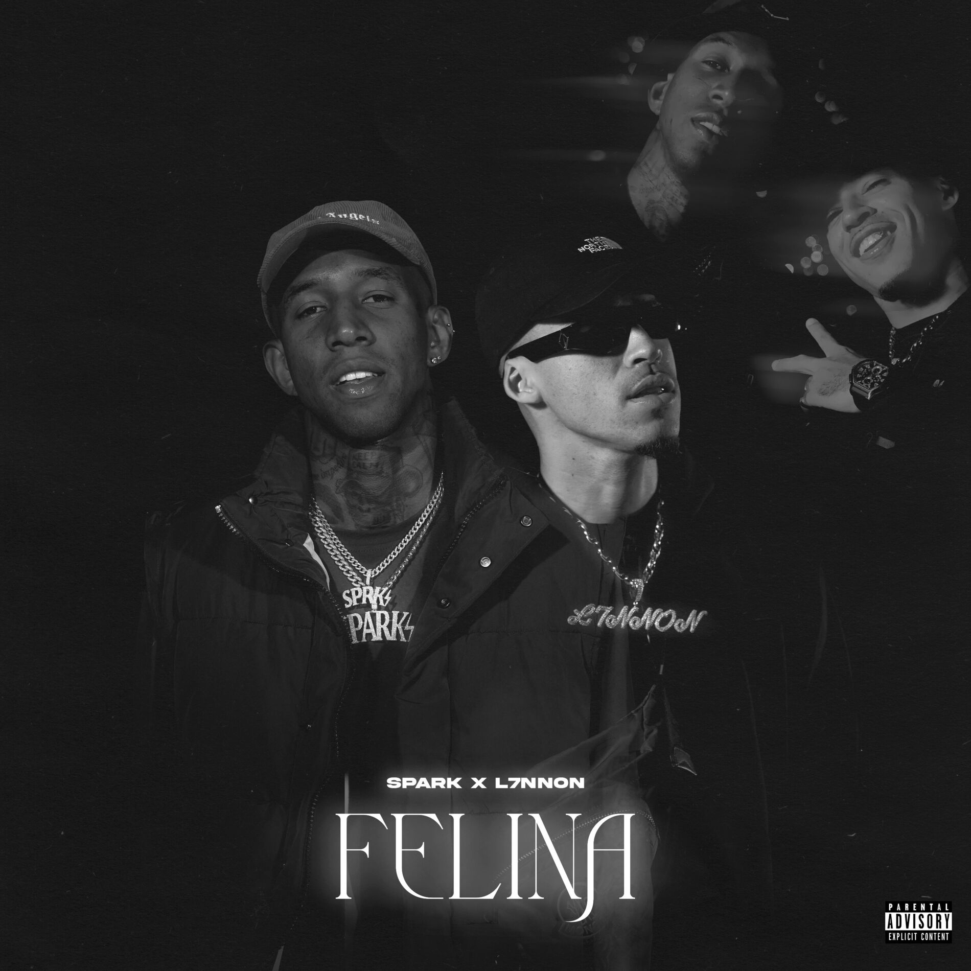 Album cover of Felina