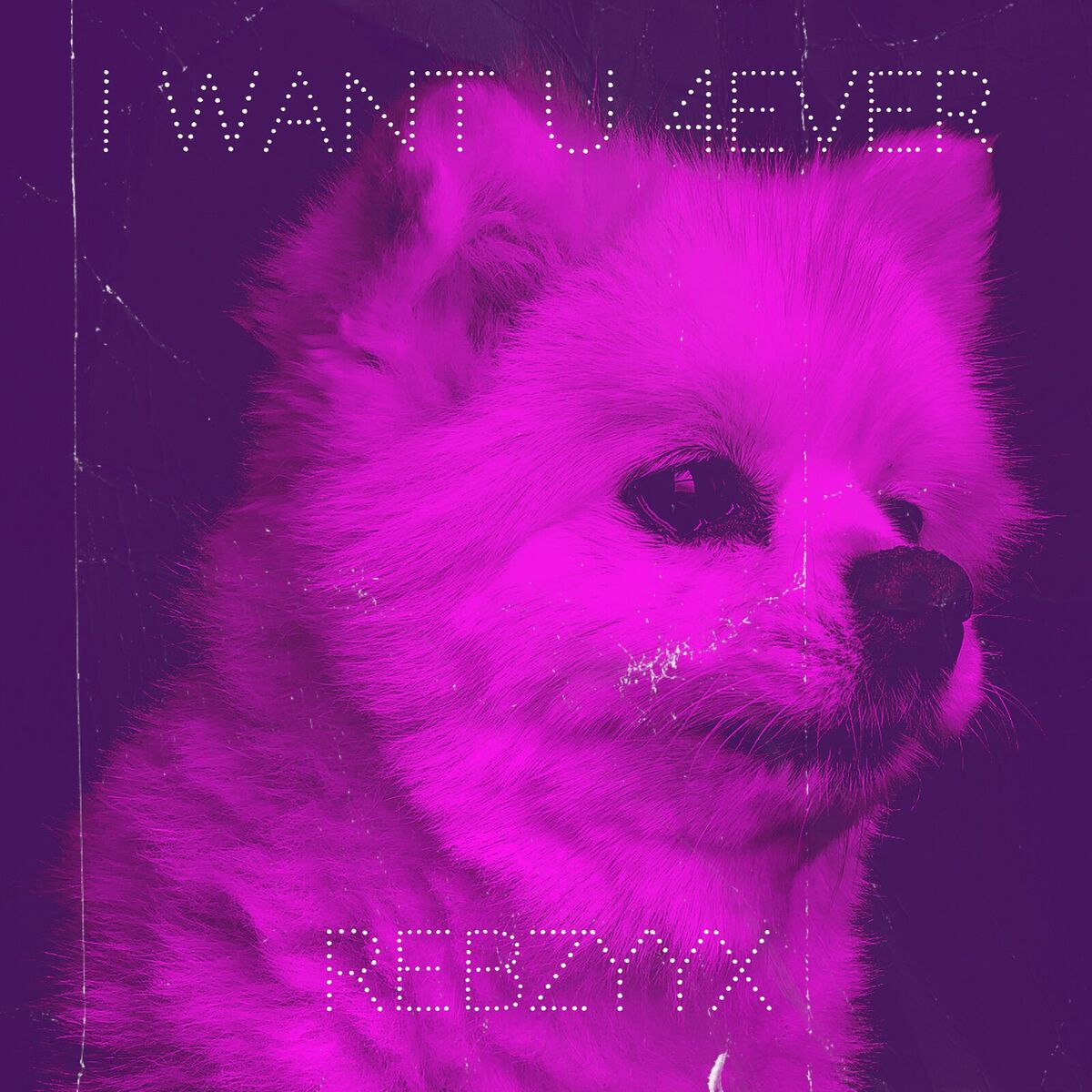 Album cover of I Want U 4ever