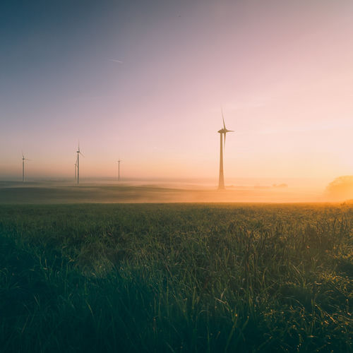 Windy Horizons