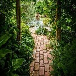 Cover of Garden