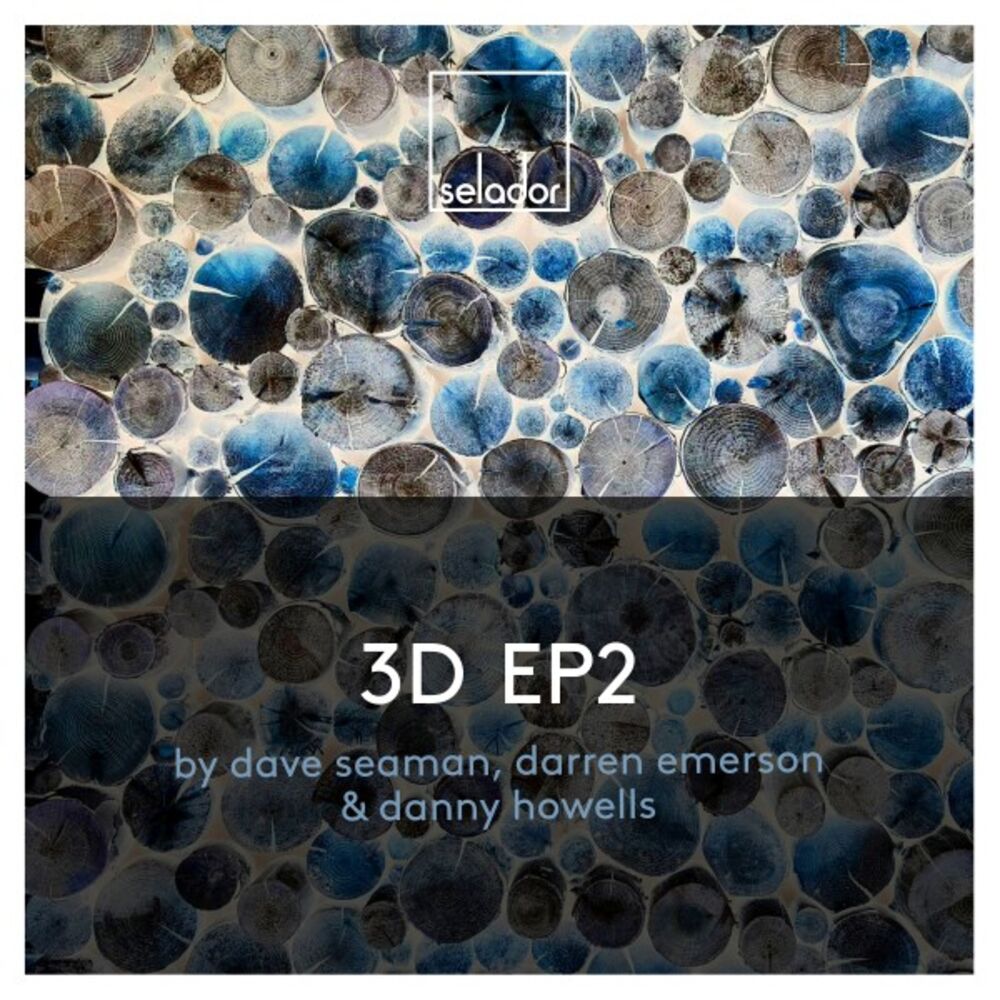 Picture of 3D EP2