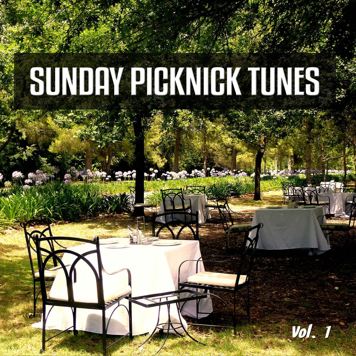 Album cover of Sunday Picknick Tunes, Vol. 1 (Smooth and Jazzy Weekend Feeling)