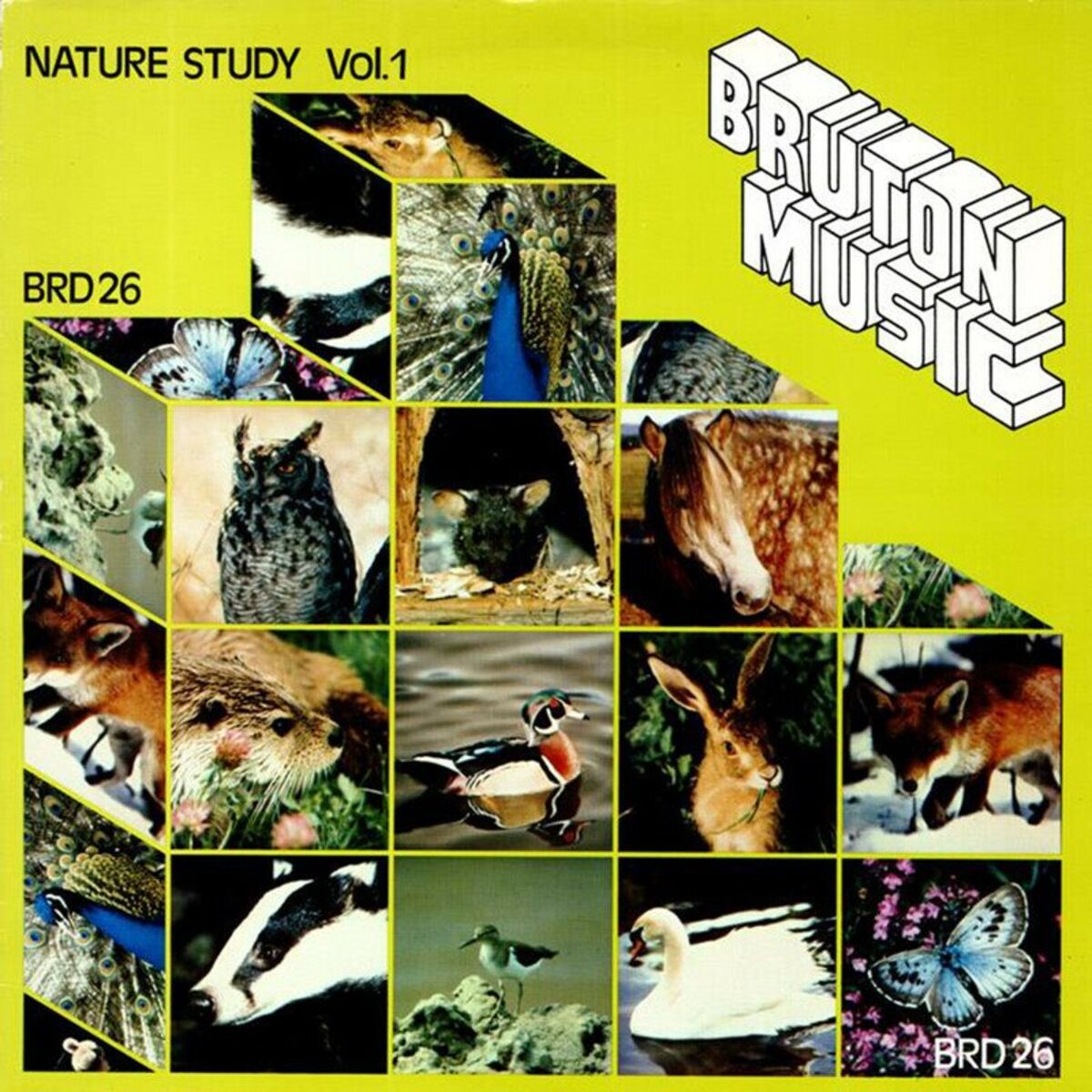 Album cover of Bruton BRD26: Nature Study, Vol. 1