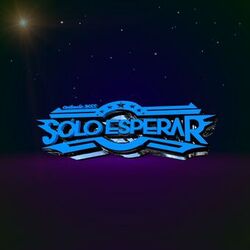 Cover of Sólo Esperar