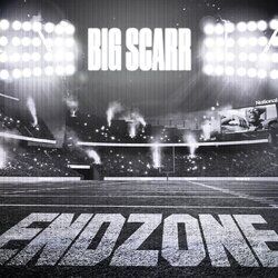 Cover of Endzone