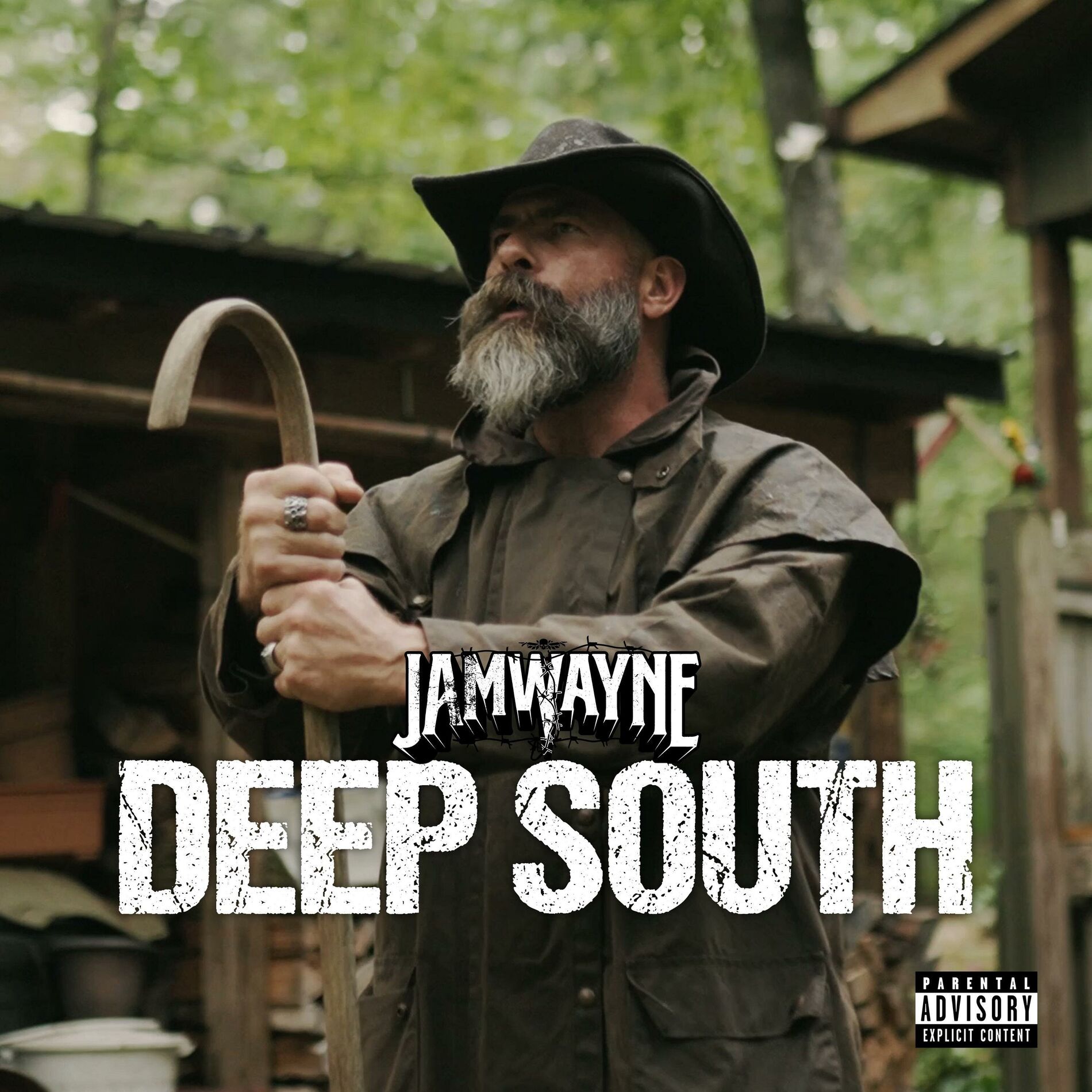 Album cover of Deep South