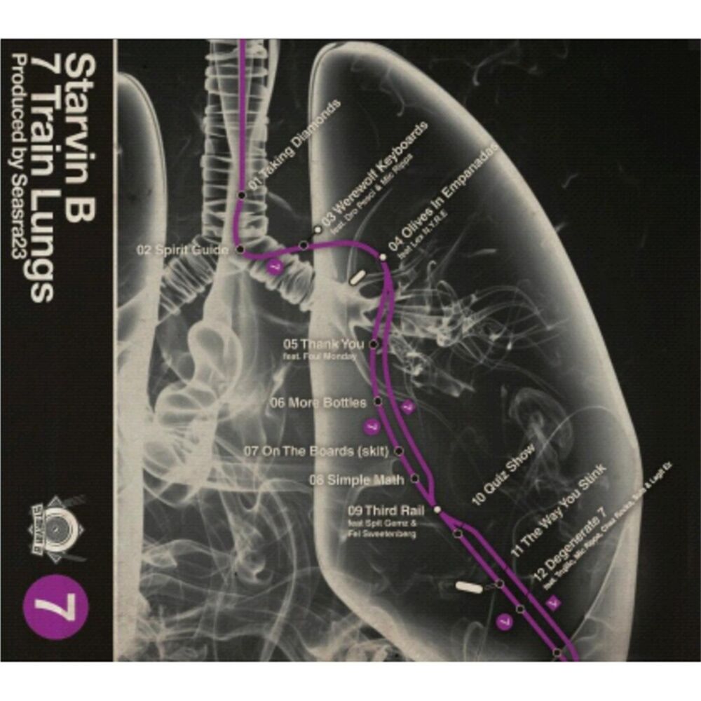Picture of 7 Train Lungs