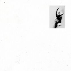 Cover of Far Out / Follies Fixture