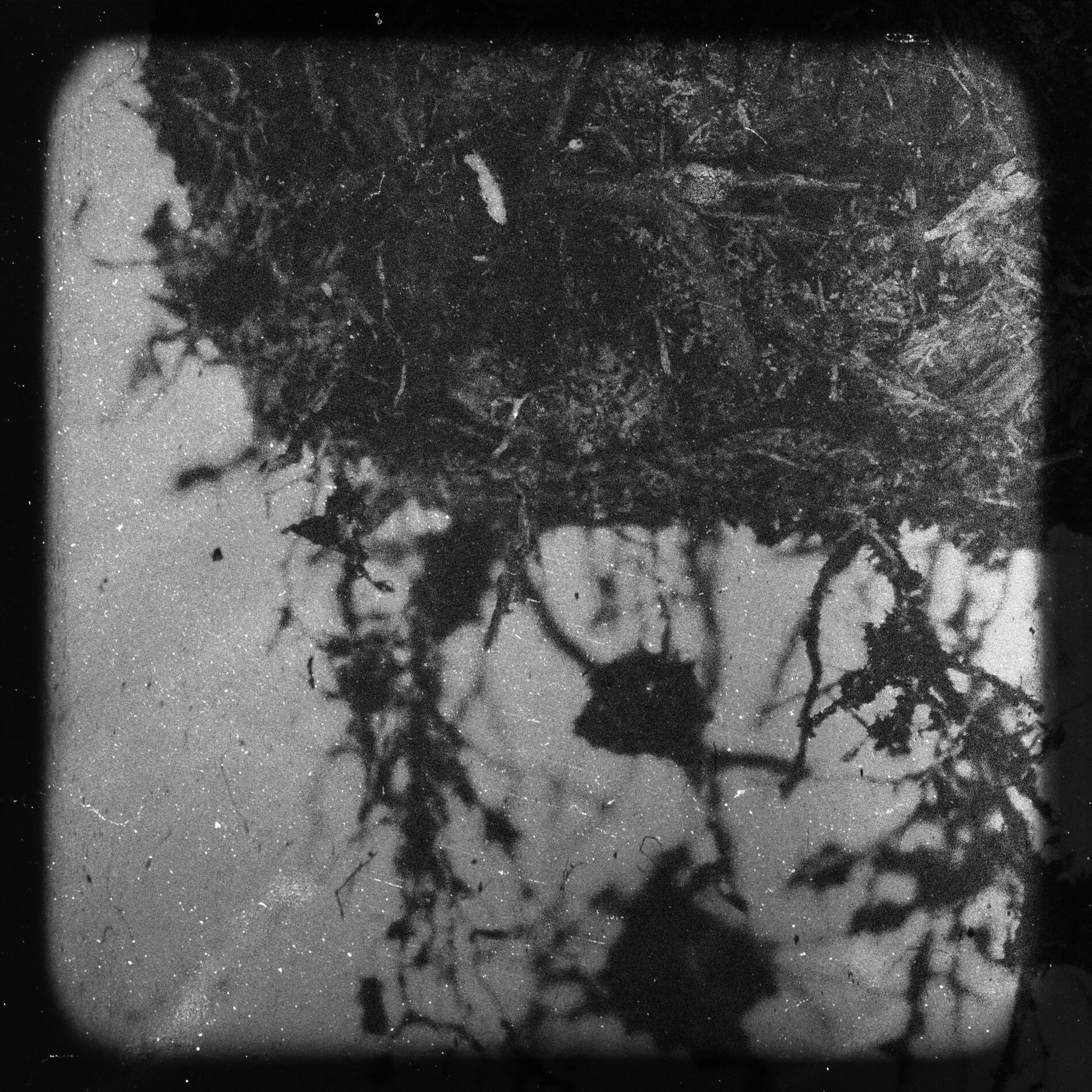 Album cover of In Remembrance