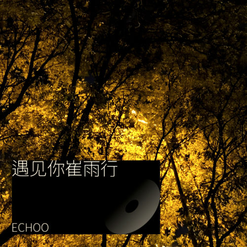遇见你崔雨行