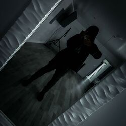Cover of going insane