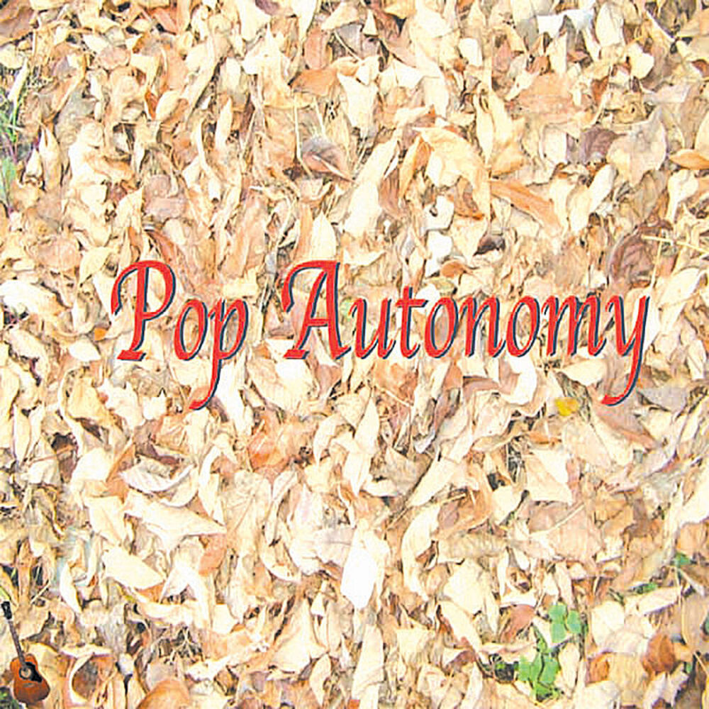 Picture of PoP Autonomy