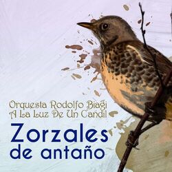 Cover of Zorzales de Antaño - Orquesta Rodolfo Biagi - A La Luz De Un Candil