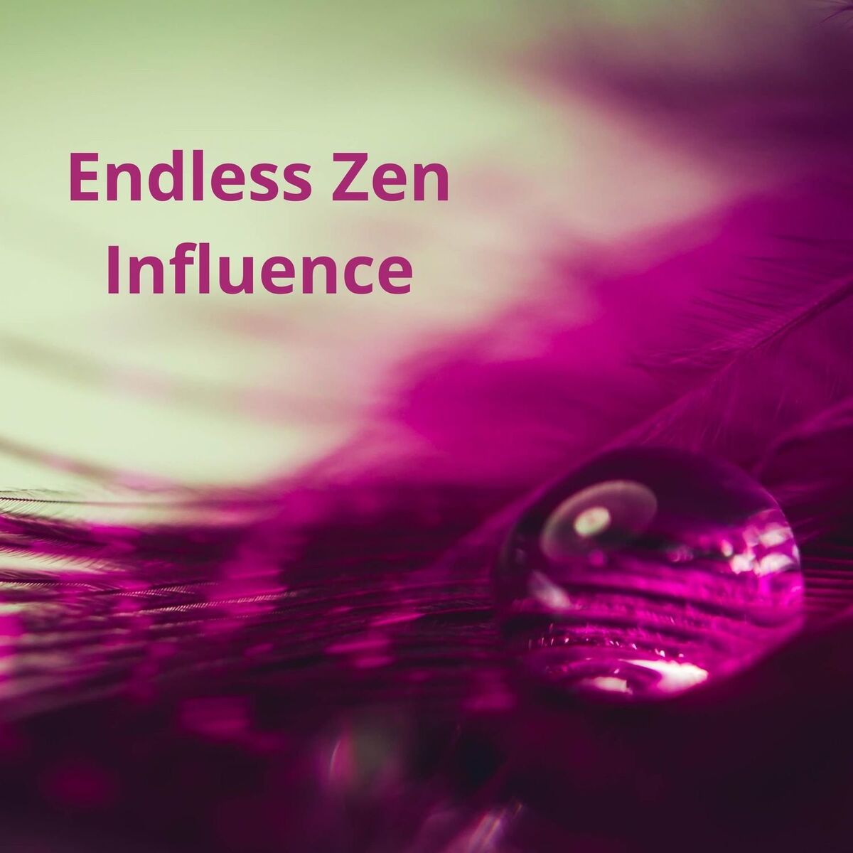 Album cover of Endless Zen Influence