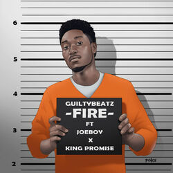 Cover of Fire