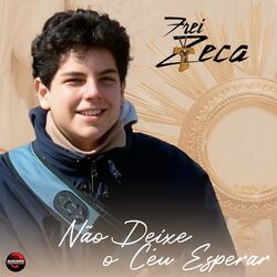 Cover of Não Deixe O Céu Esperar