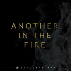 Cover of Another in the Fire