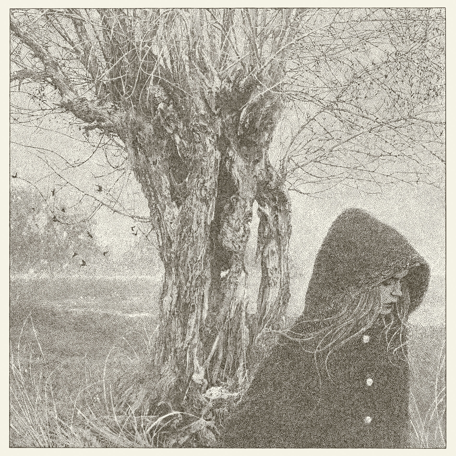 Album cover of Between the Earth and Sky