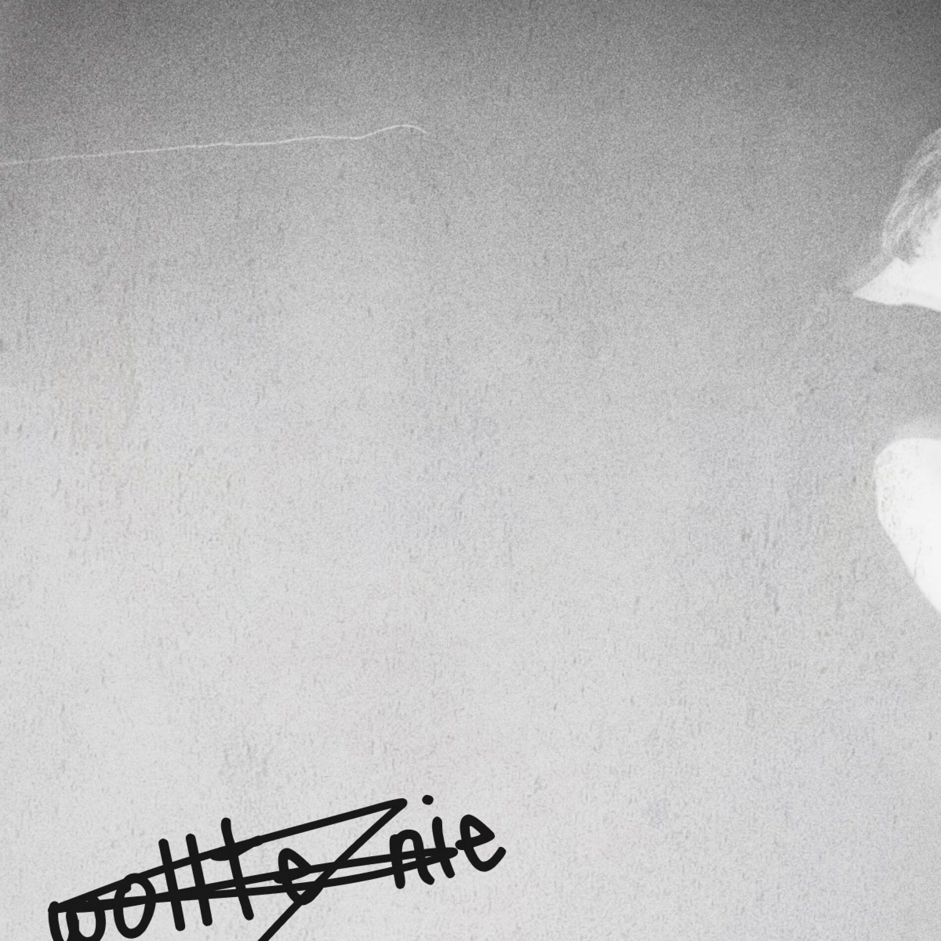 Album cover of wollte nie
