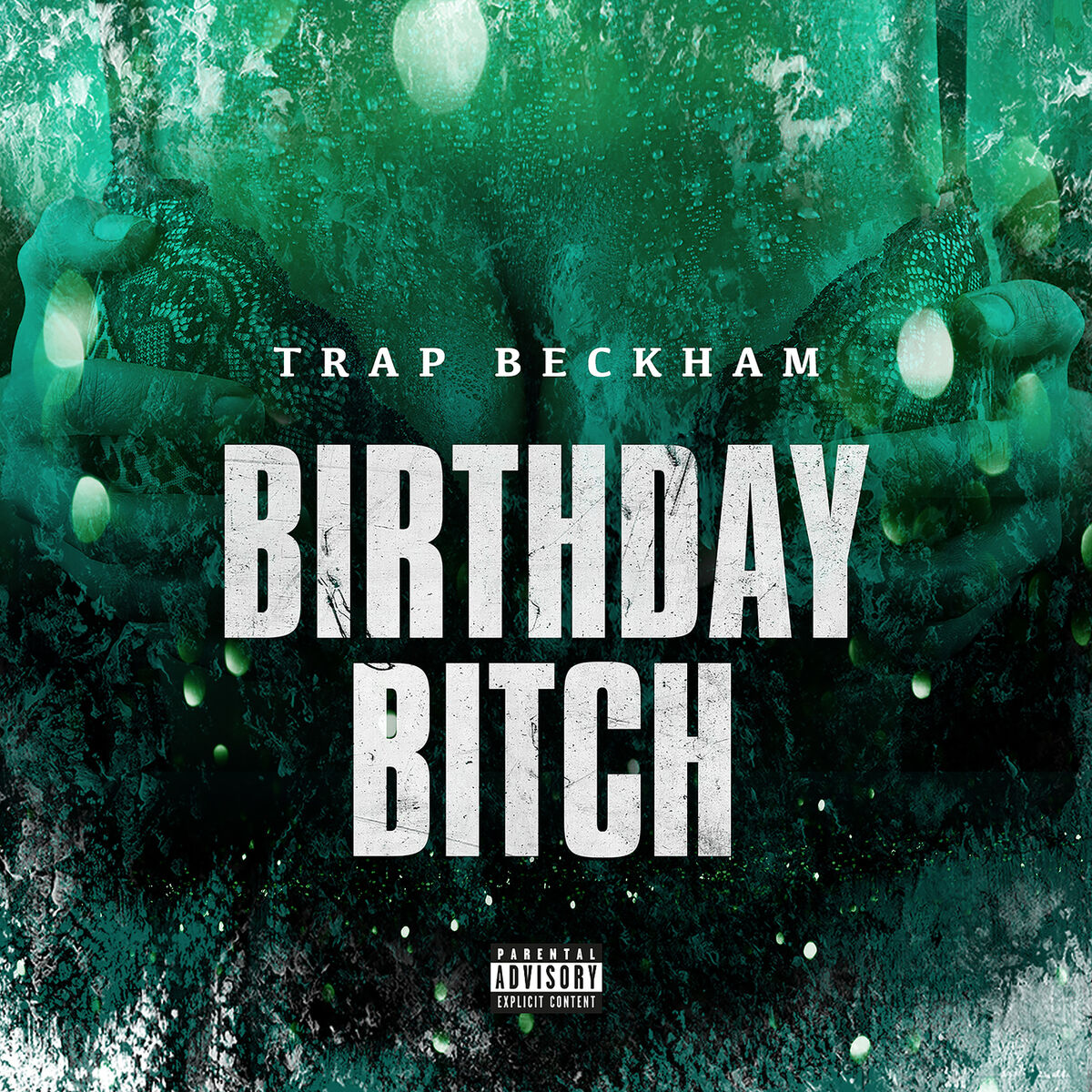 Album picture of Birthday Bitch