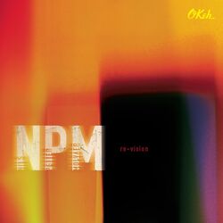 Cover of Re-Vision