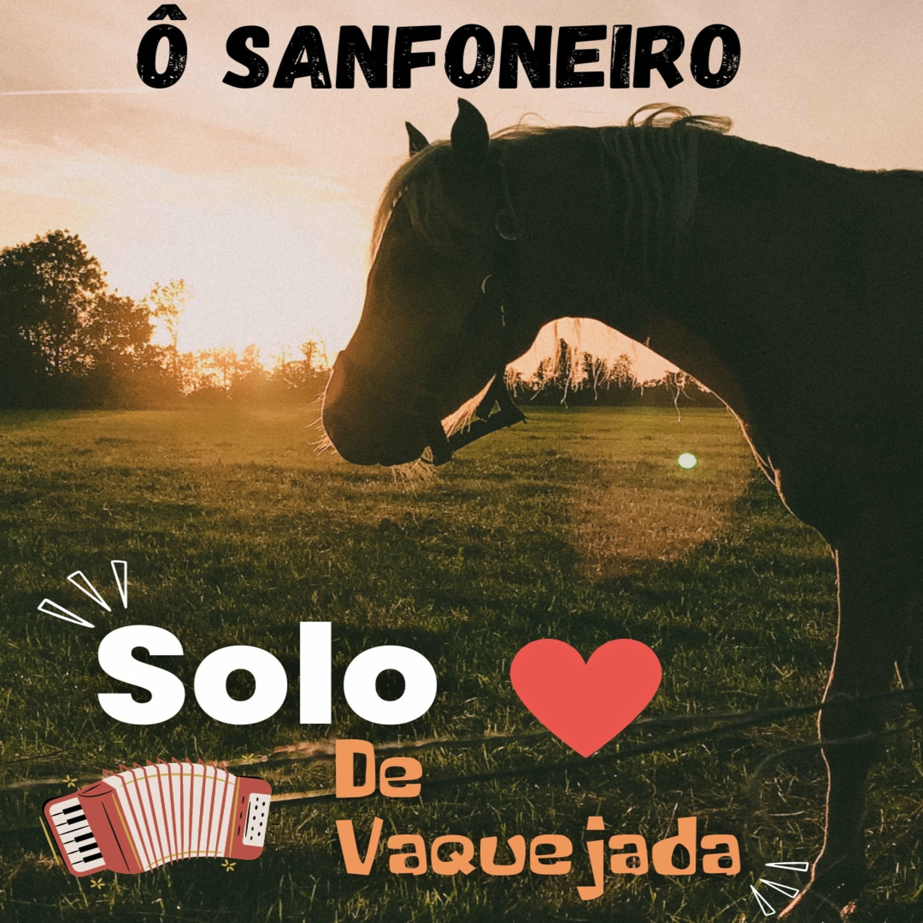 Album cover of Solo de Vaquejada