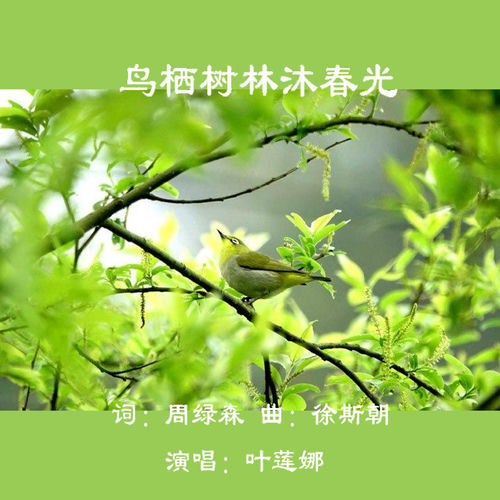 轻轻吹过春天的风