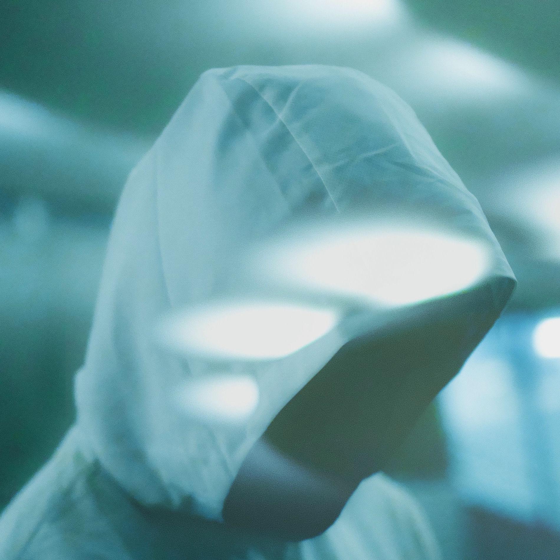 Album cover of Argentée