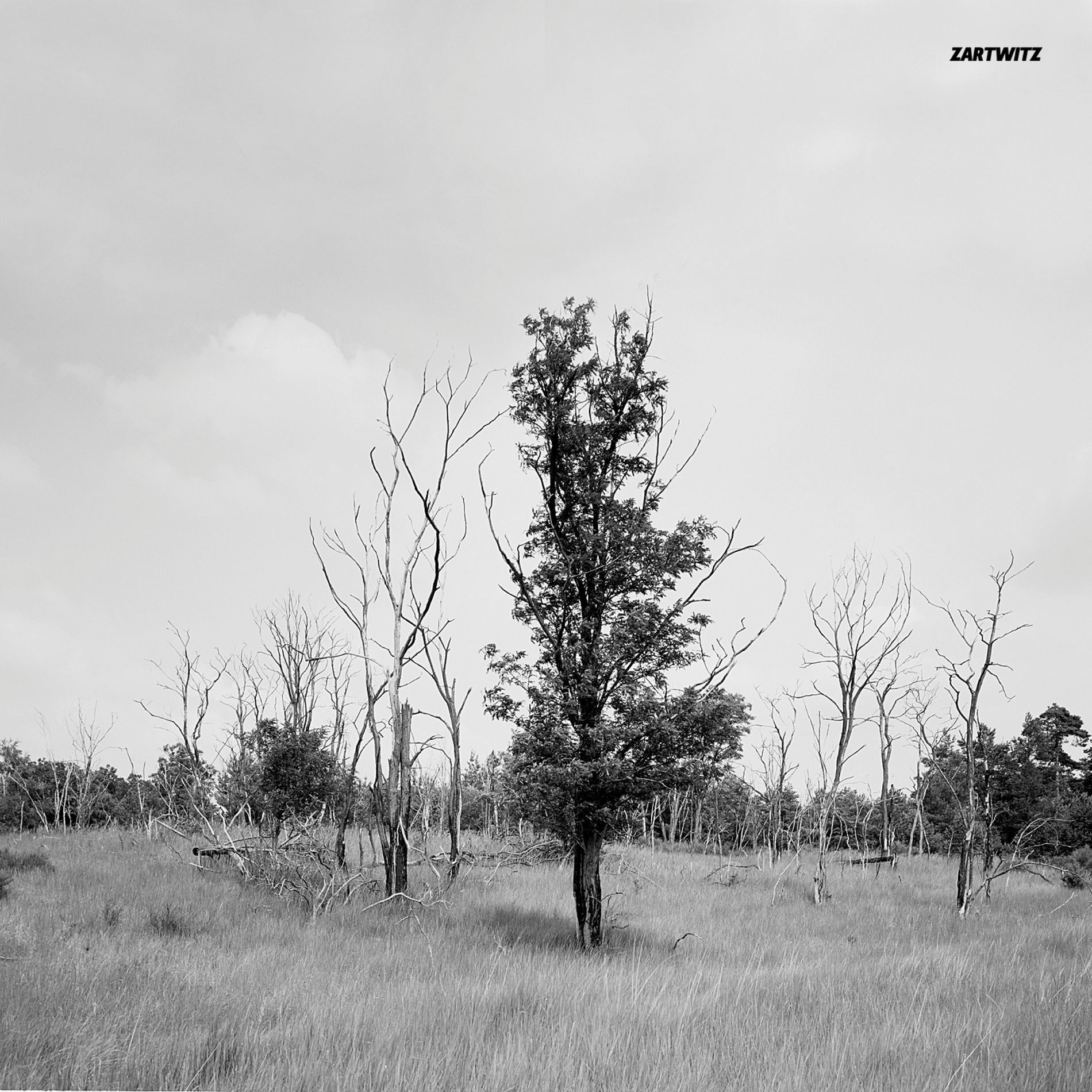 Album cover of Nouvelle Chance