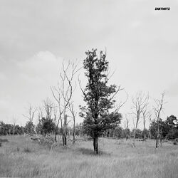 Cover of Wildkuhl