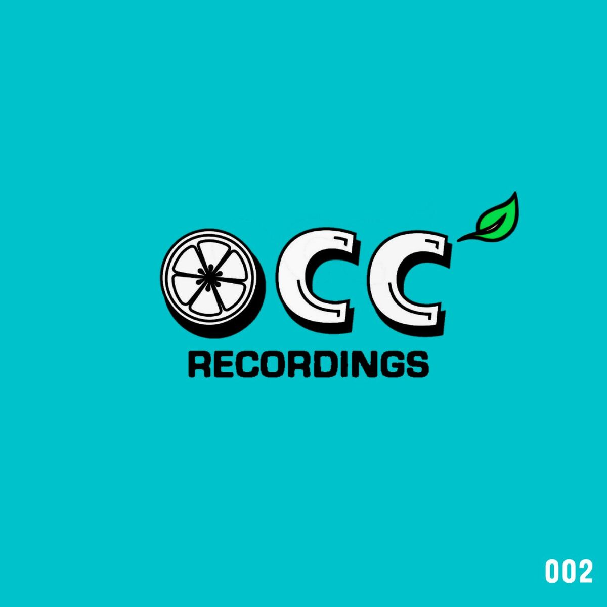 Album cover of Segments: 002