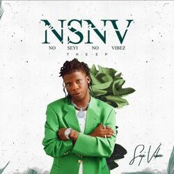 Cover of NSNV