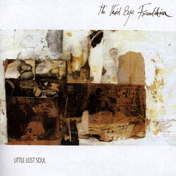 Cover of Little Lost Soul