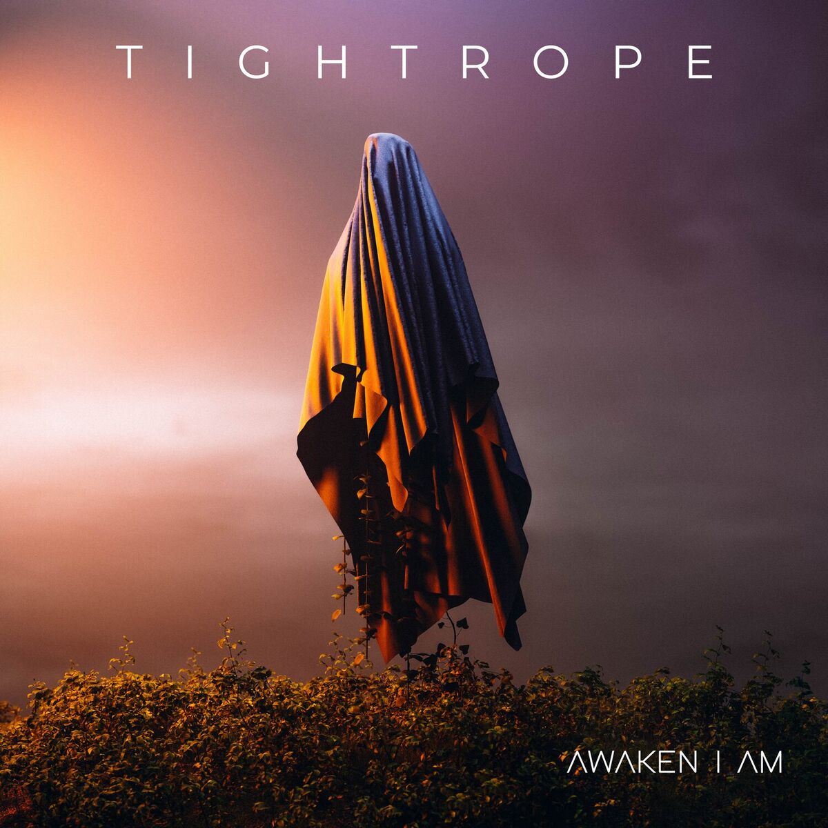 Album cover of Tightrope