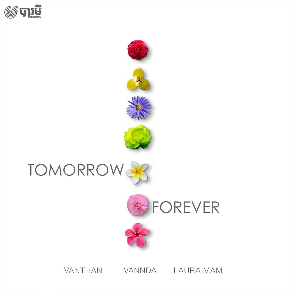 Album cover of Tomorrow Forever (feat. Laura Mam & VannDa)