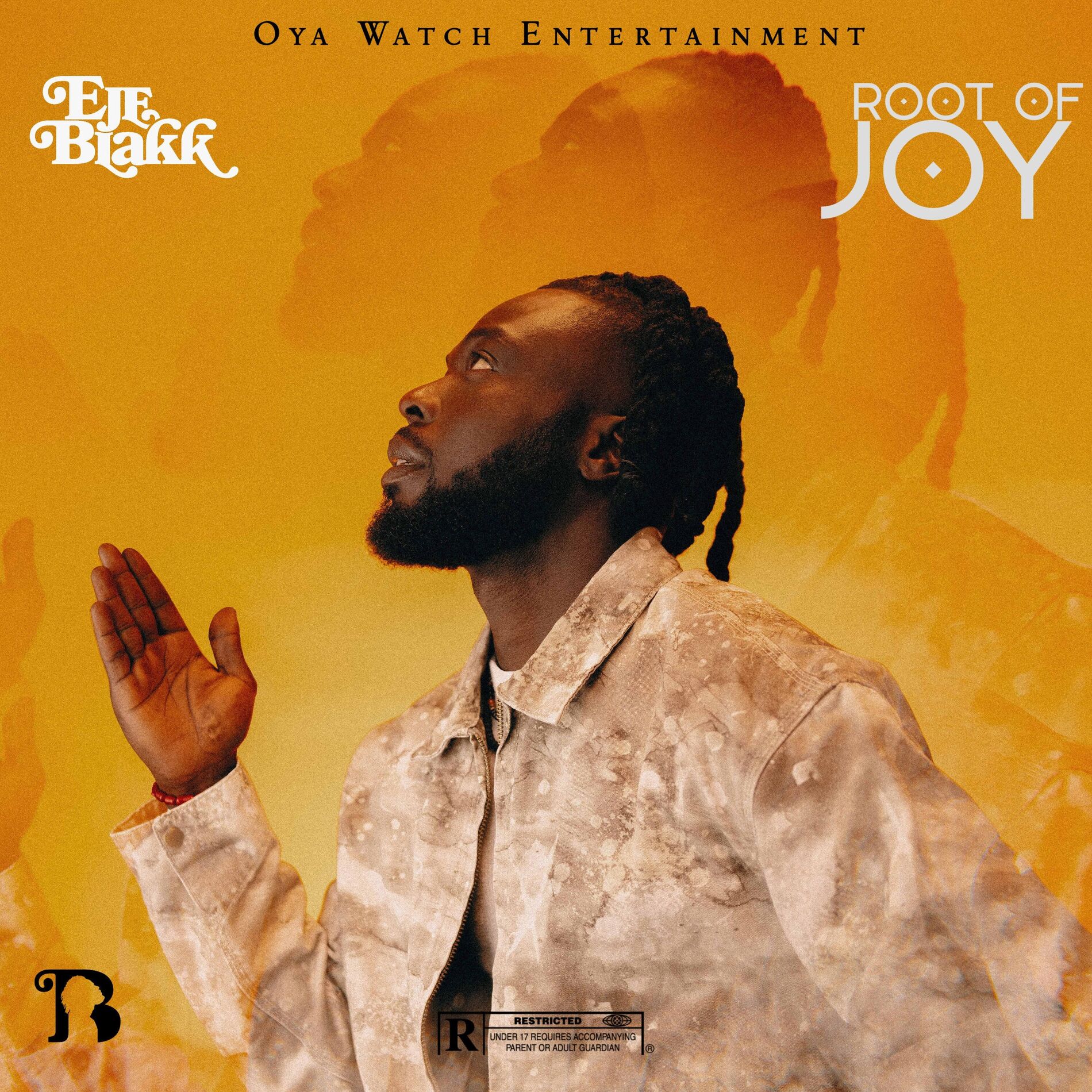 Album cover of Root of Joy